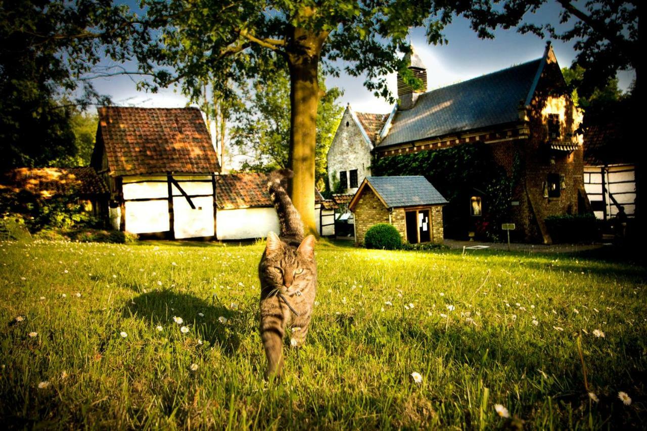B&B De Bloesem Hoeselt Extérieur photo